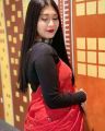 Cotton Half Body long Sleeve Crop Tops Blouse for Women.