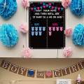 Baby Gender Reveal Board Gender Reveal Creative Voting Game. 