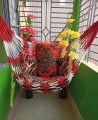 Hand Made Dulna Adult Rope Bed Hanging Dulna(Random Color ) Use For All People Large Swing Rope Bed Rattan Dulna - Dolna - dolna. 