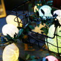 Easter decoration simulation rattan Easter egg string lights holiday party indoor box led lights Simple Fidelity design.