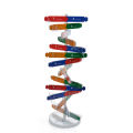 (New)DNA Model Double Helix tructure Teaching Toy AB Double Helix DIY Human Gene for Biological cience.