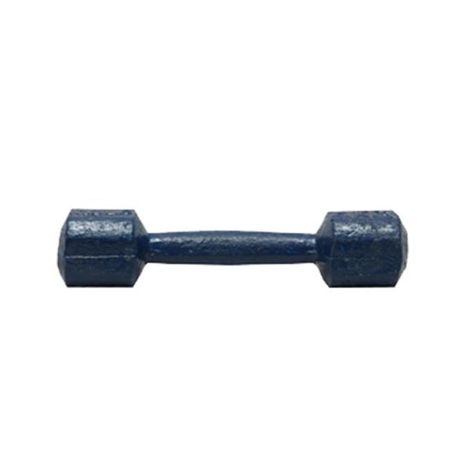 Dumbbell%201%20kg%20-%20Blue%20-%20Image%202
