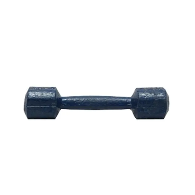 Dumbbell%201%20kg%20-%20Blue%20-%20Image%202