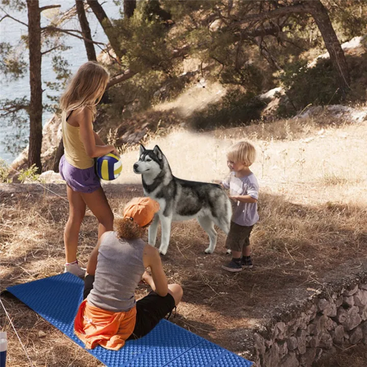 Camping%20Mat,%20Portable%20Sleeping%20Mat,%20Picnic%20Foam%20Mattress,Blue%20-%20Image%208