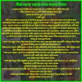 9.9 Mega Sale Assorted Vegetable Seed Combo Pack for Gardening and Homegrown Herbs.