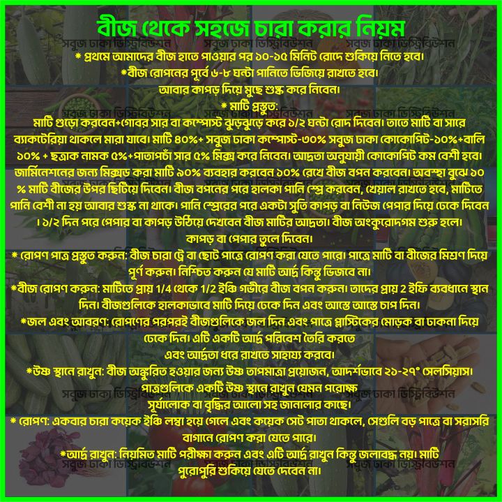 9.9%20Mega%20Sale%20Assorted%20Vegetable%20Seed%20Combo%20Pack%20for%20Gardening%20and%20Homegrown%20Herbs%20-%20Image%208
