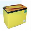 Vision GD Chest Freezer RE-250L. 