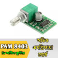 PAM8403 5V Power Audio Amplifier Board 2 Channel 3W Volume Control Module or 8403. 