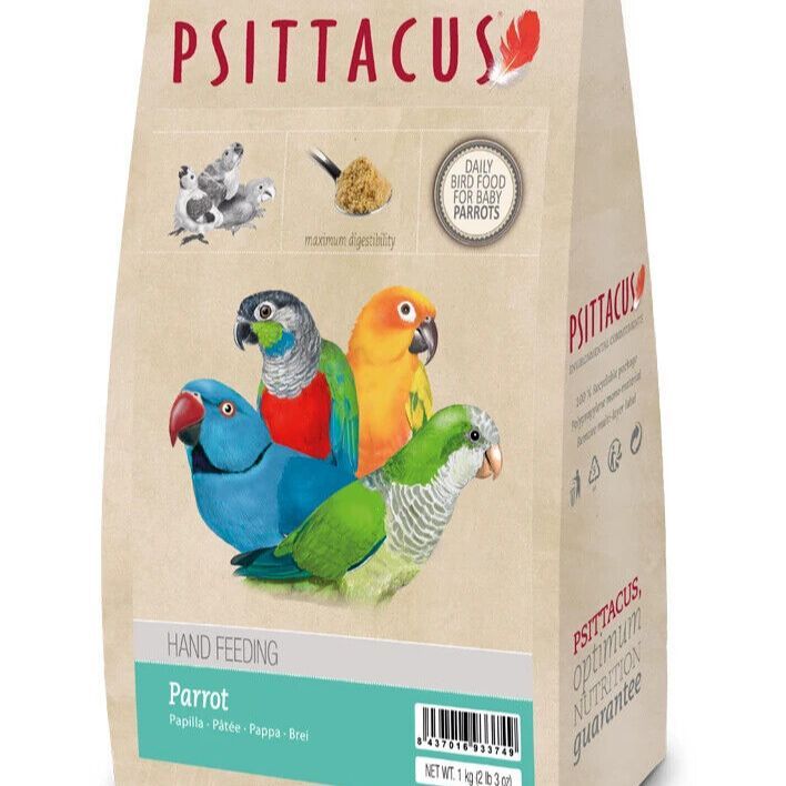Psittacus Parrot Hand Feeding