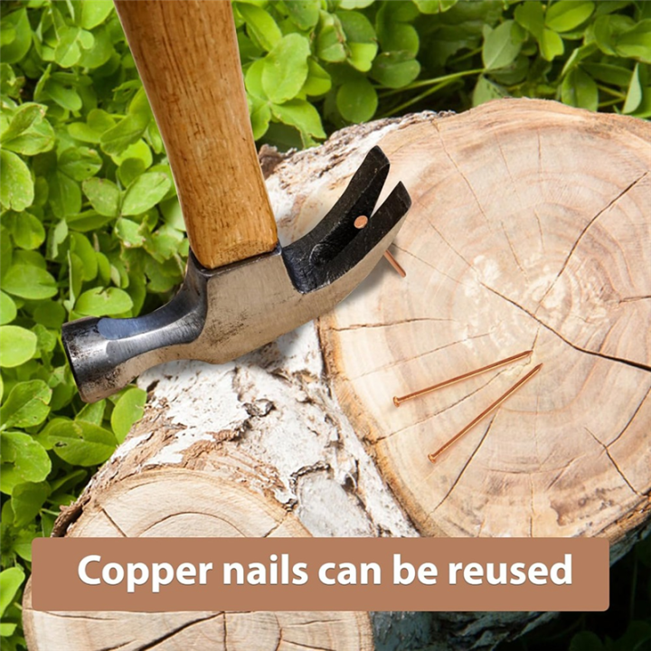 25Pcs%20Copper%20Nails,%203.14%20Inch%20Long%20Pure%20Copper%20Nails%20Bulk%20with%20Drill%20Bit,%20Remove%20Stake%20Nails%20Hardware%20Nails%20for%20Trees%20-%20Image%205