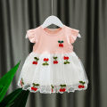 Baby Summer Embroidery Dress. 