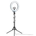 Ring Light Tripod Stand Studio SET for Youtuber/Facebook live Video Tiktok Video 14''.