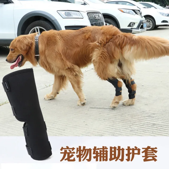 Pet%20Legguard%20Knee%20Pad%20Cover%20Protective%20Cover%20Teddy%20Dog%20Surgical%20Injury%20Fixed%20Dog%20Feet%20Golden%20Retriever%20Large%20Dog%20Leg%20Protector%20-%20Image%202