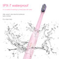 Sonic Electric Toothbrush D8081 Waterproof USB Type-c Rechargeable Toothbrushes 2 Heads.