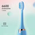 Tongwode Electric Sonic Toothbrush USB Rechargeable Waterproof Electronic Ultrasonic Whitening Tooth Brushes Replacement Heads.