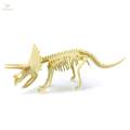 Dinosaur Skeleton Models Bones Figures for Festival. 