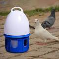 Pigeon Waterer Drinker Water Bottle Automatic Bird Water Dispenser for Quail 6L D 19cm H 35CM. 