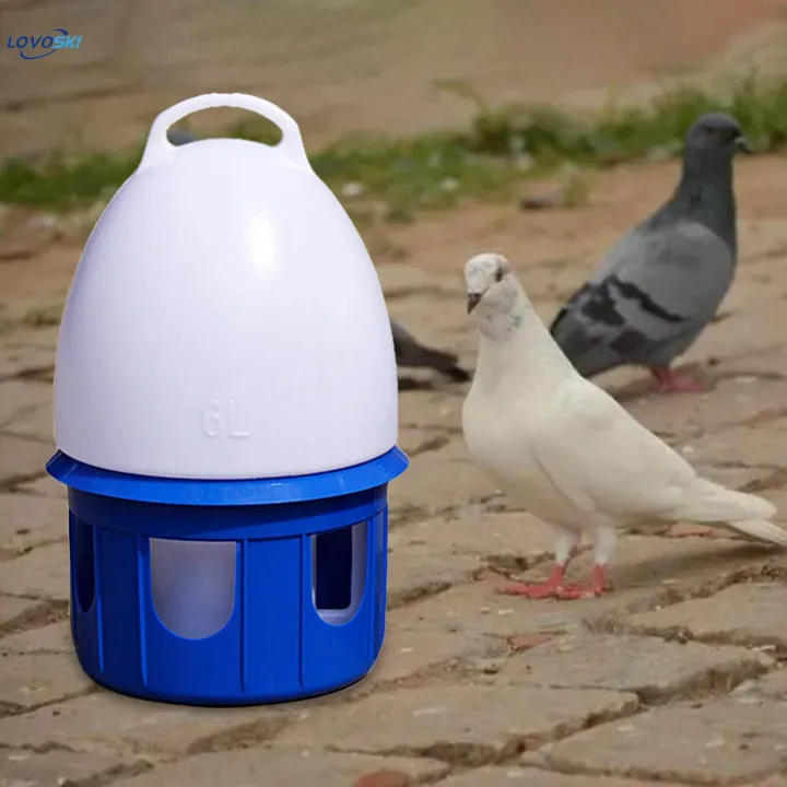 Pigeon%20Waterer%20Drinker%20Water%20Bottle%20Automatic%20Bird%20Water%20Dispenser%20for%20Quail%206L%20D%2019cm%20H%2035CM%20-%20Image%206