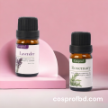 Lavender - Rosemary Essential Oil Combo - 10 ml Each. 