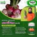 Onion Seeds Hybrid Quality (পিয়াজ বীজ ) Seeds 100 Pices (All Season Seeds). 