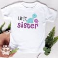Big Sister Little Brother Kids Dinosaur T-shirt for Boys Girl Matching Outfit Tops Summer T Shirt Children Clothes Short Sleeve. 