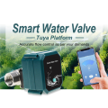 2X Tuya Smart ZigBee Electric Motorized Ball Water Valve Stainless Steel Garden Irrigation Remote Control(DN15).