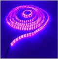 12volt dc LED Strip Light - purple 3fit. 