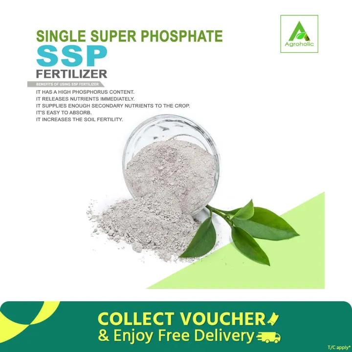 Single Super Phosphate (SSP) Fertilizer - 500 gm (imported)