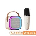 Wireless Microphone Karaoke Portable Bluetooth Speaker RGB Colorful Lights HIFI Outdoor Surround Subwoofer for Party Kids Gift. 