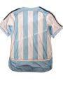 Argentina World Cup 2006  Authentic Retro Edition Half Sleeve Football Jersey. 
