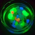 50 Pcs Glow Stone Luminous Pebbles for Aquarium Fish Tank Garden Decor Glow In The Dark Stones. 