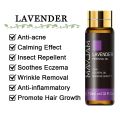 MAYJAM 10ML Aromatic Diffuser Essential Oil Lavender Vanilla Myrrh Fragrance Oil For Soaps Candle Making Massage Humidifiers.