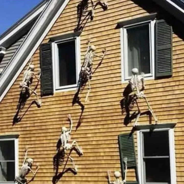 %EF%BC%88New%EF%BC%8932/90/150cm%20Poeable%20Human%20keleton%20Halloween%20Decoration%20Party%20Prop%20-%20Image%203