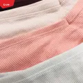 Pack of 3 Assorted Women's Cotton Ribbed V Shape Waist Hipster Panty Briers Underwear For Ladies From Levin. 