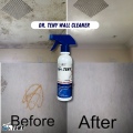 Dr Teny Wall Mould Cleaner Spray 250 ml.