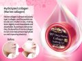 Pax Moly 99% Deep Marine Collagen Soothing Gel-300gm.