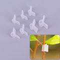 100PCS Plastic Grafting Clips Plants Support Garden Greenhouse Vegetables Garden Judish.