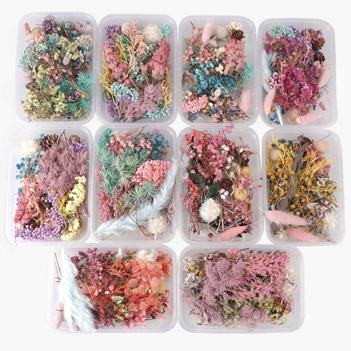 【In-Demand Item】 Dried Flowers Natural Floral Art Craft Scrapbooking Resin Jewelry Making mold Cherry Super Store