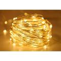 Led Fairy Lights Copper String Light Holiday Festoon Lamp For Home/ Indoor/ Bedroom/ Wedding Decoration. 