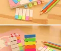 Promotion Gift Stationery Plastic Self-Adhesive 5-Lines Sticky Notes for Office and School Supply. 