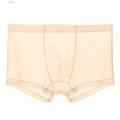 Quasar Men Briefs Lint Free Mesh Men Boxers Transparent Underwear.