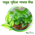 Green Pudina Seeds 35 pice + gift. 