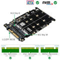 2 In 1 M.2 NVMe SATA U2 M.2 NVME SSD Key M Key B SSD To U.2 SFF-8639 Adapter PCIe M2 Converter Desktop Computer Parts. 