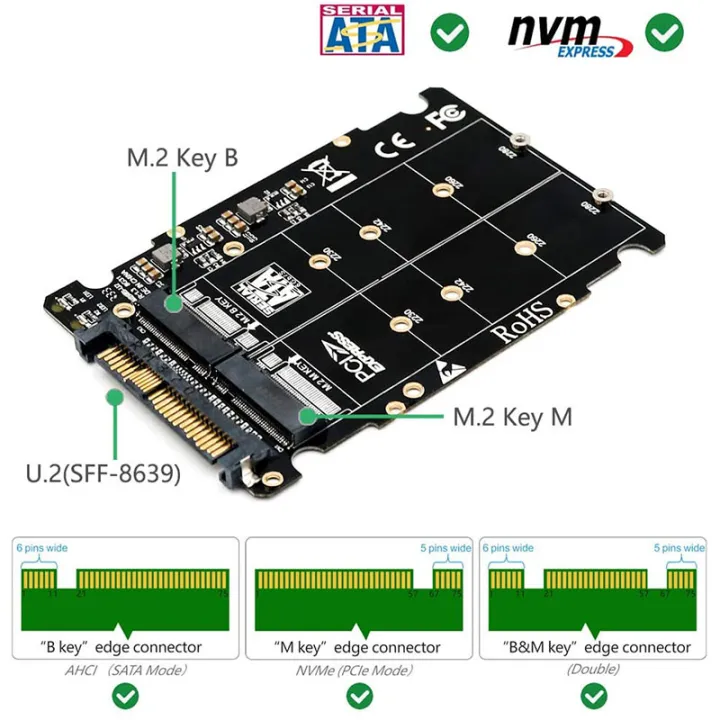 2%20In%201%20M.2%20NVMe%20SATA%20U2%20M.2%20NVME%20SSD%20Key%20M%20Key%20B%20SSD%20To%20U.2%20SFF-8639%20Adapter%20PCIe%20M2%20Converter%20Desktop%20Computer%20Parts%20-%20Image%202