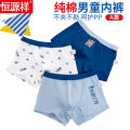 Hengyuanxiang Boys' Underwear Pure Cotton Boyshorts Summer Children's Boxers Thin Medium and Large Children's Underwear12Little Boy15. 