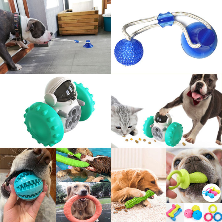 Pet Dog Toys Interactive Rubber Suction Cup Push Tpr Balls For Small Large Dogs Puppy Cat Chewing Toys Kong Dog Toys