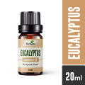 Ikebana Eucalyptus Essential oil 20 ml. 