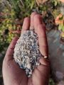 White Stone Chip (সাদা পাথর কুচি) - 200/500 Gram pack Mini White Stone Chip For Decoration of Aquarium and Making Adenium Cactus Media. 