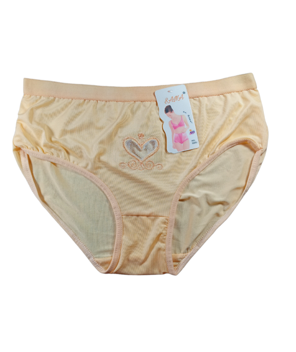 Women%20love%20panty%20Soft%20stretch%20Comfortable%20soft%20panty%20Multicolours-%202%20Pieces%20(Size%2032-38)%20-%20Image%202