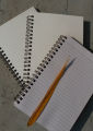 Designer Series Graph/Grid, Dot-Grid & Daily Journal Notebook 3-Pack. 
